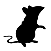 Loja do Rato logo