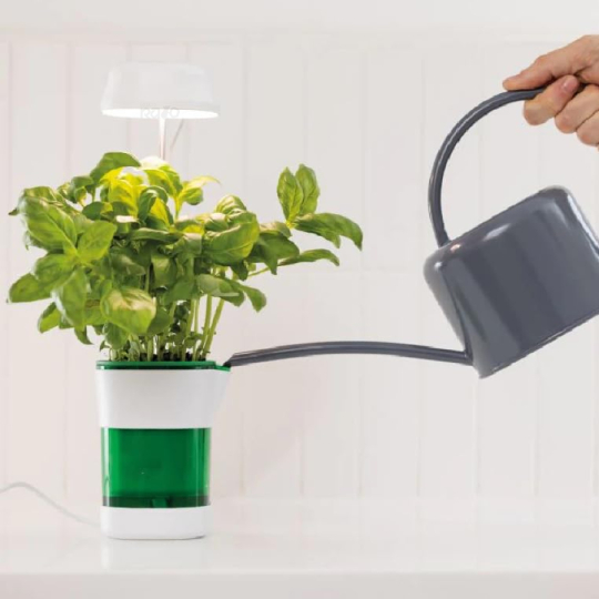 Vaso com luz LED e irrigação automática